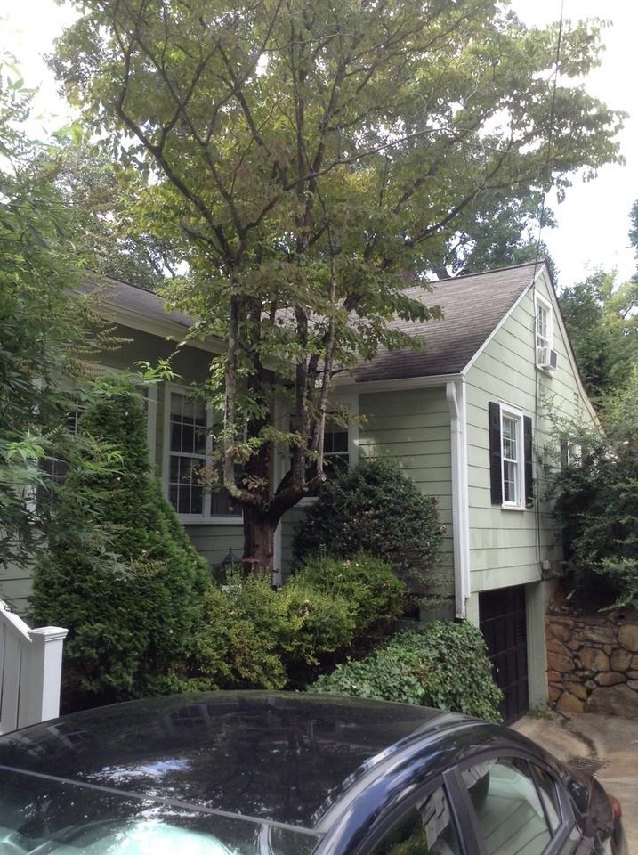 2461 Lyndhurst Ave - Photo 4 of 50