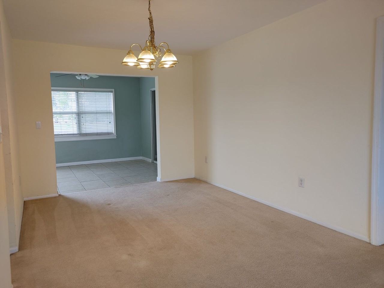 6498 Fabian Rd - Photo 4 of 19