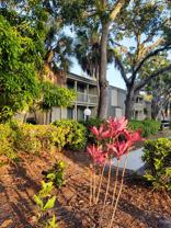 2208 Bahia Vista Street #F-1 - Photo 1 of 1