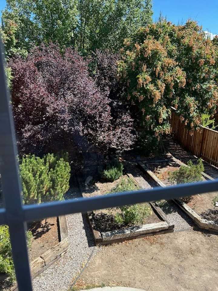 2468 Roman Dr - Photo 3 of 12