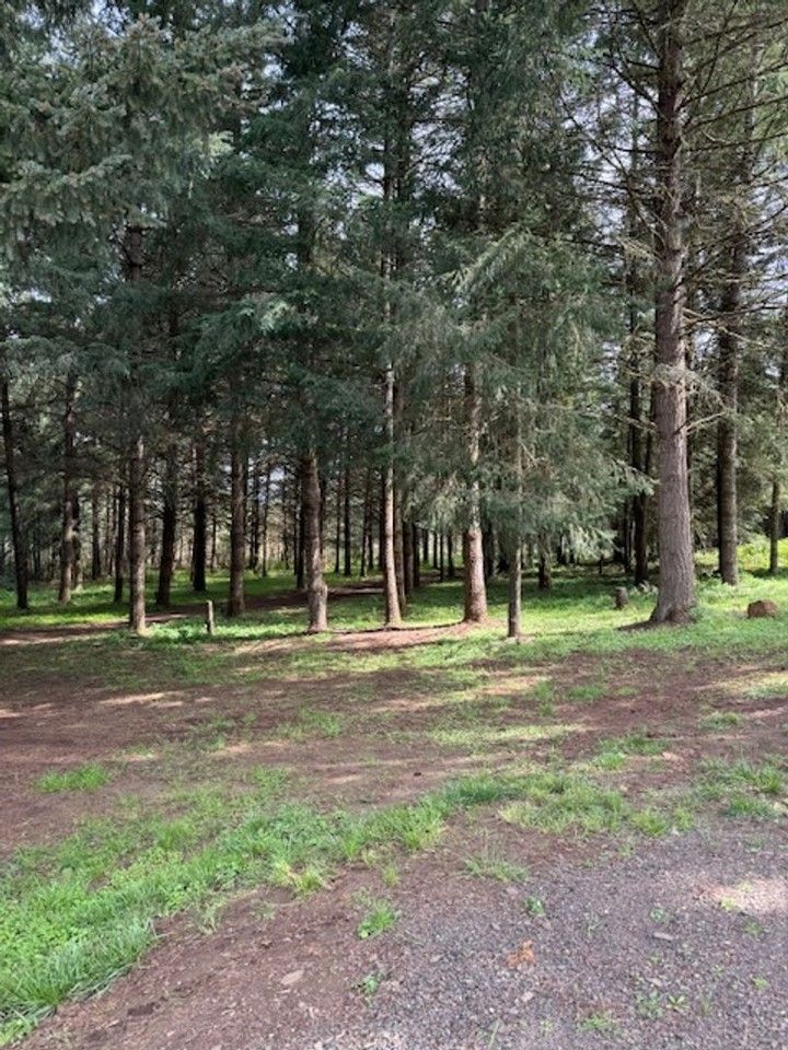37385 Sodaville Cut Off Dr - Photo 2 of 24