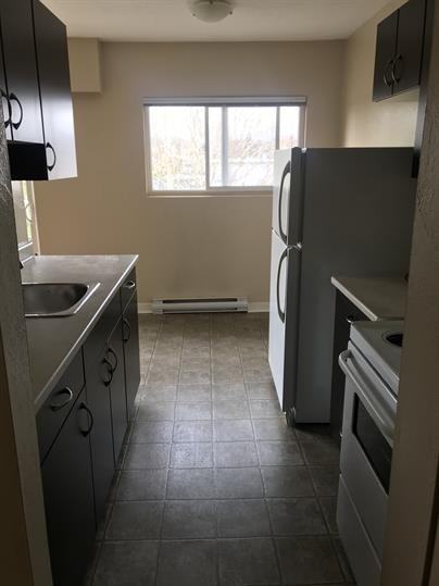 1150 Queens Ave #106 - Photo 4 of 12