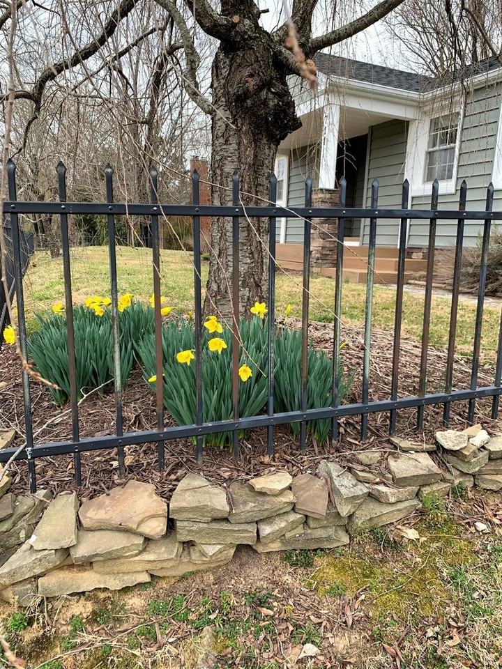 711 Gracelyn Ct - Photo 2 of 42