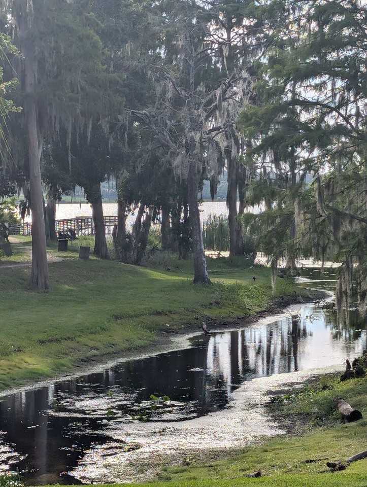 4332 S Kirkman Rd #1009 - Photo 3 of 11