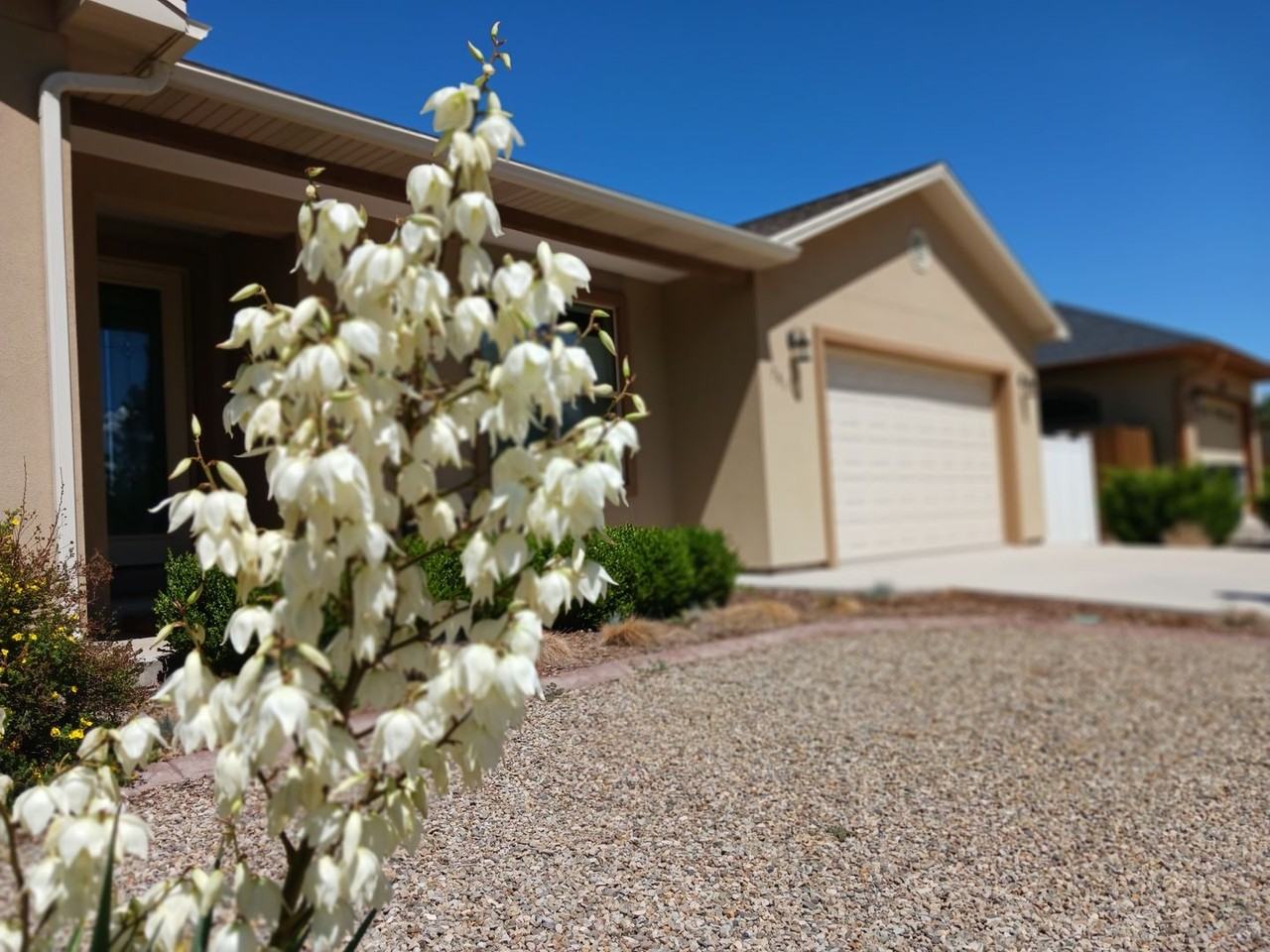 781 Arbor St - Photo 2 of 31