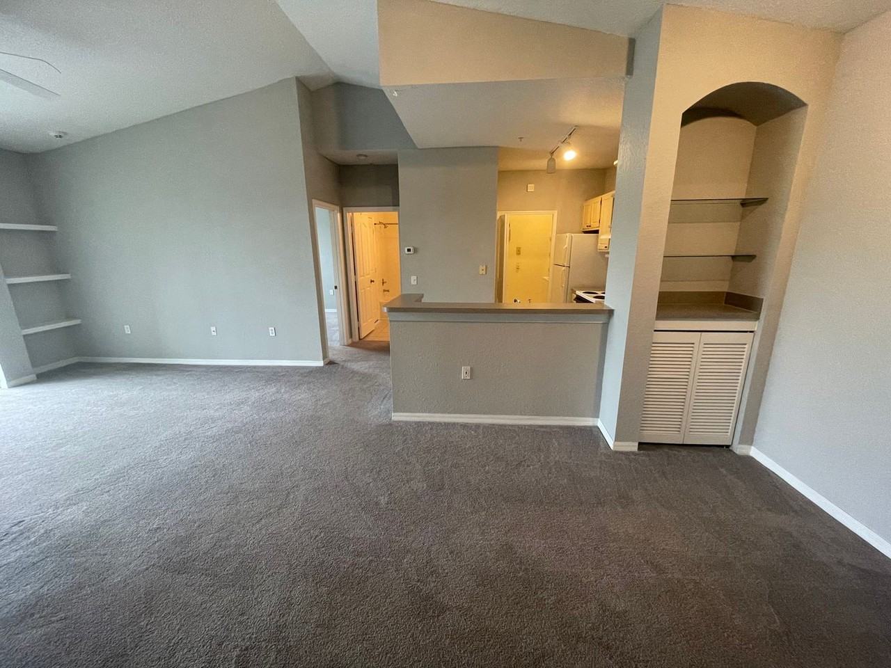 1325 Lake Shadow Cir #12305 - Photo 3 of 36