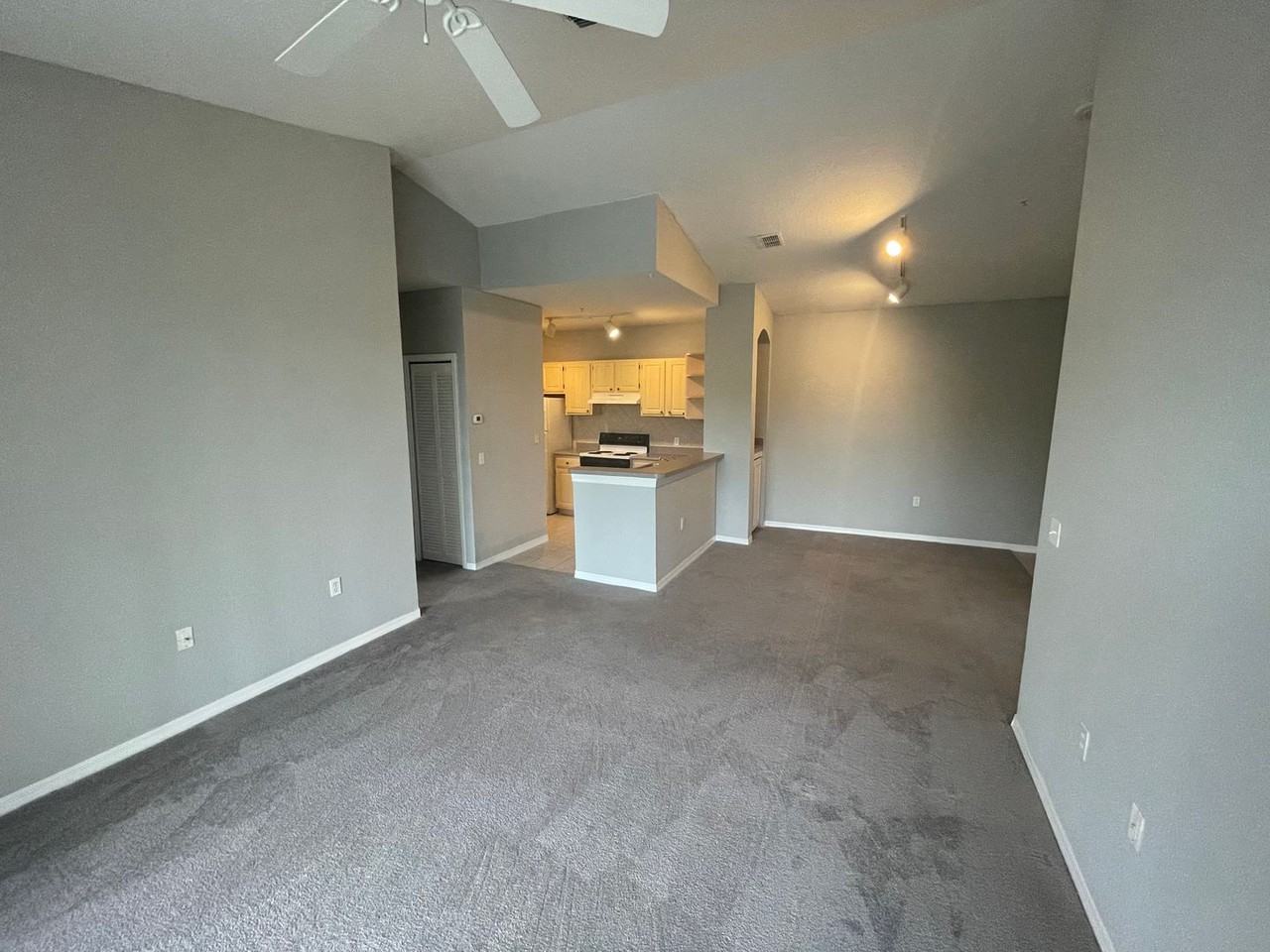 1325 Lake Shadow Cir #12305 - Photo 4 of 36