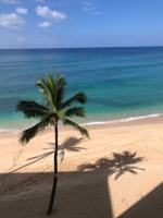 featured image of 84-965 Farrington Hwy #A508