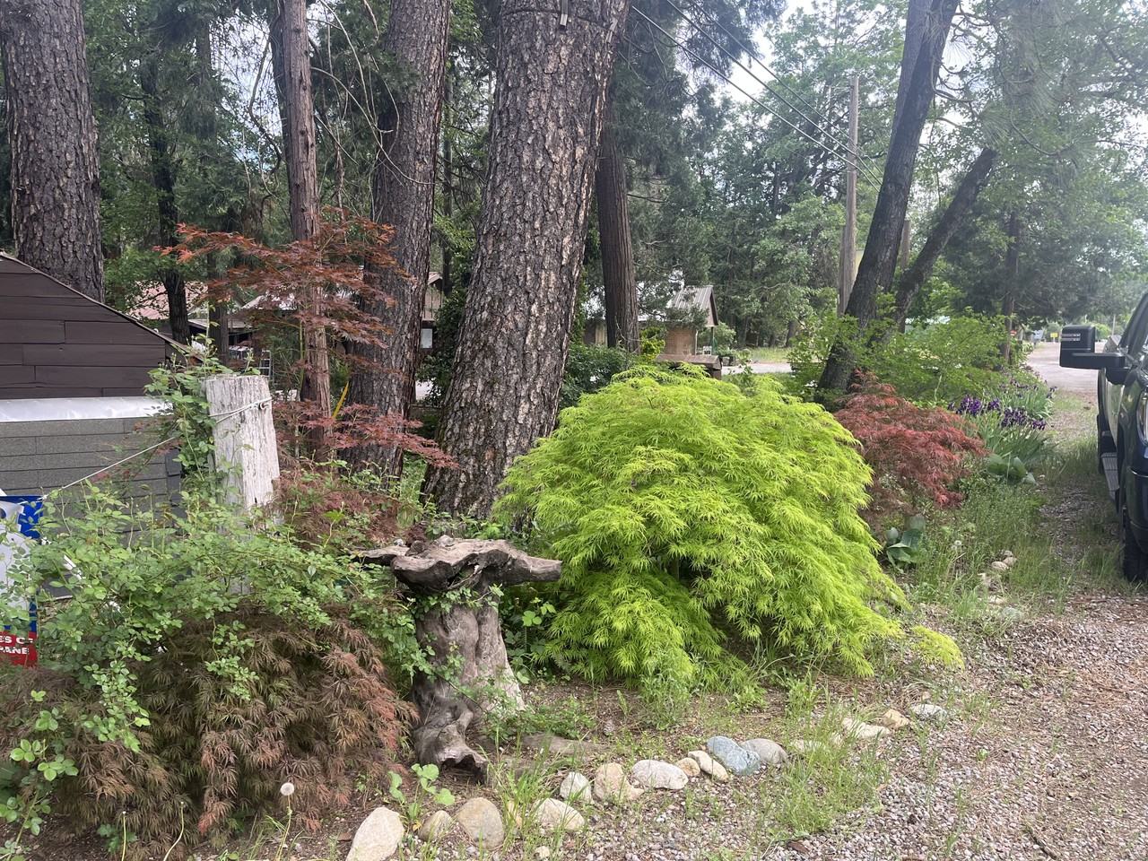 30877 Crag View Dr - Photo 2 of 4