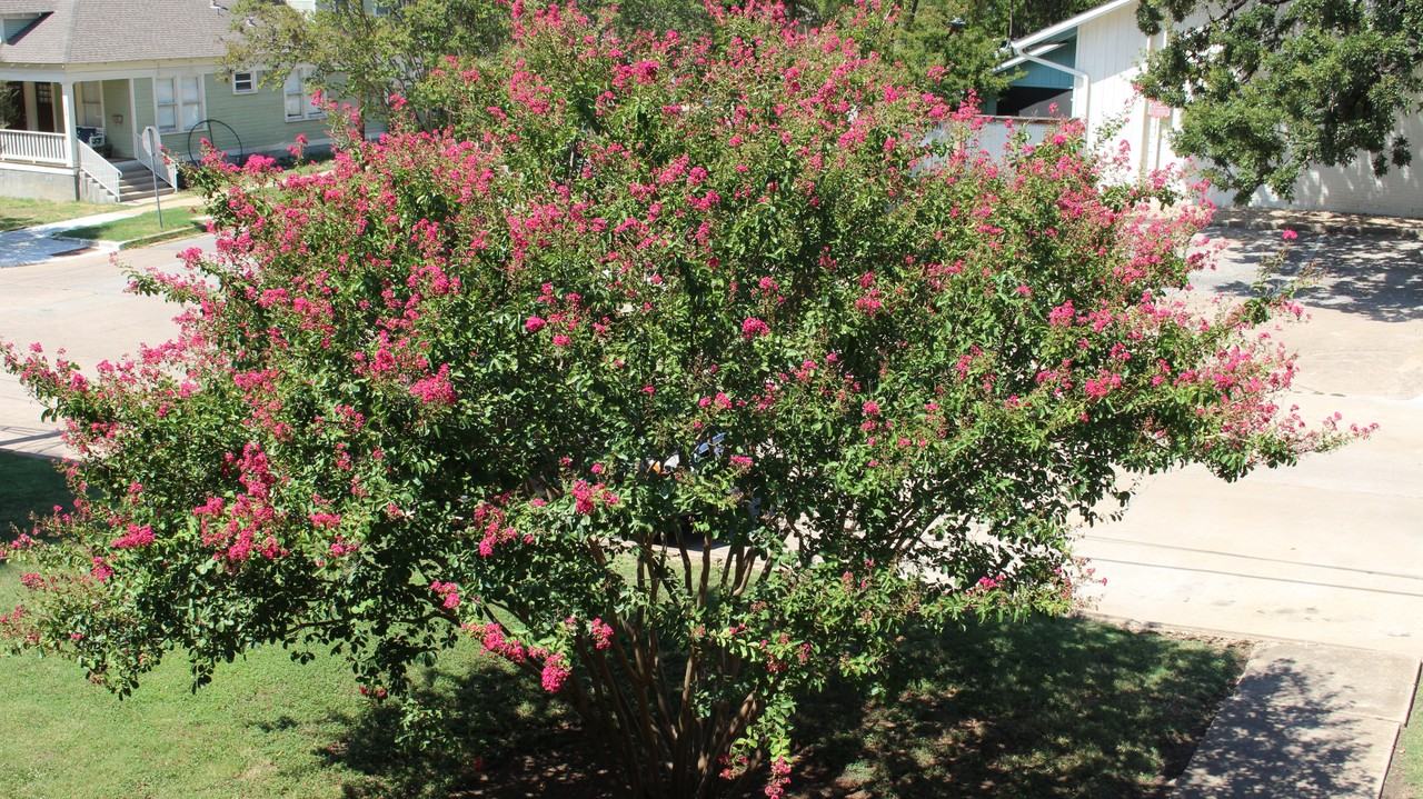 301 E 34th St #105 - Photo 6 of 50