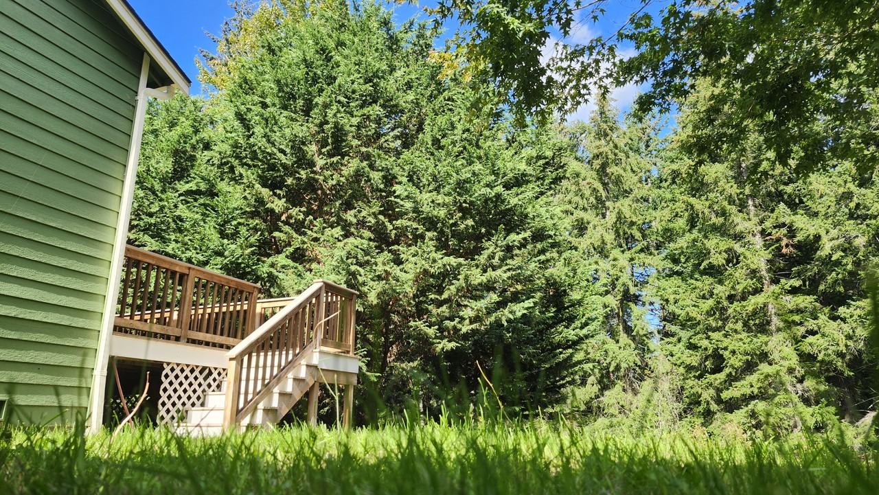 35336 10th Pl Sw #NA - Photo 4 of 50