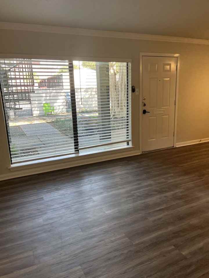 Dream Montrose - Photo 3 of 19