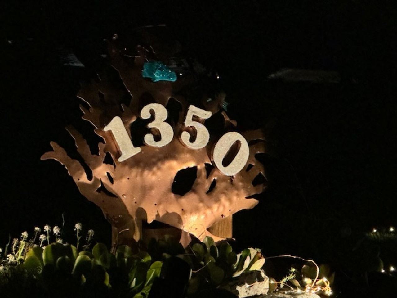 1350 Sierra Dr - Photo 3 of 20