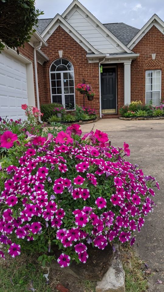 362 Fountain Lake Dr #NA - Photo 3 of 25