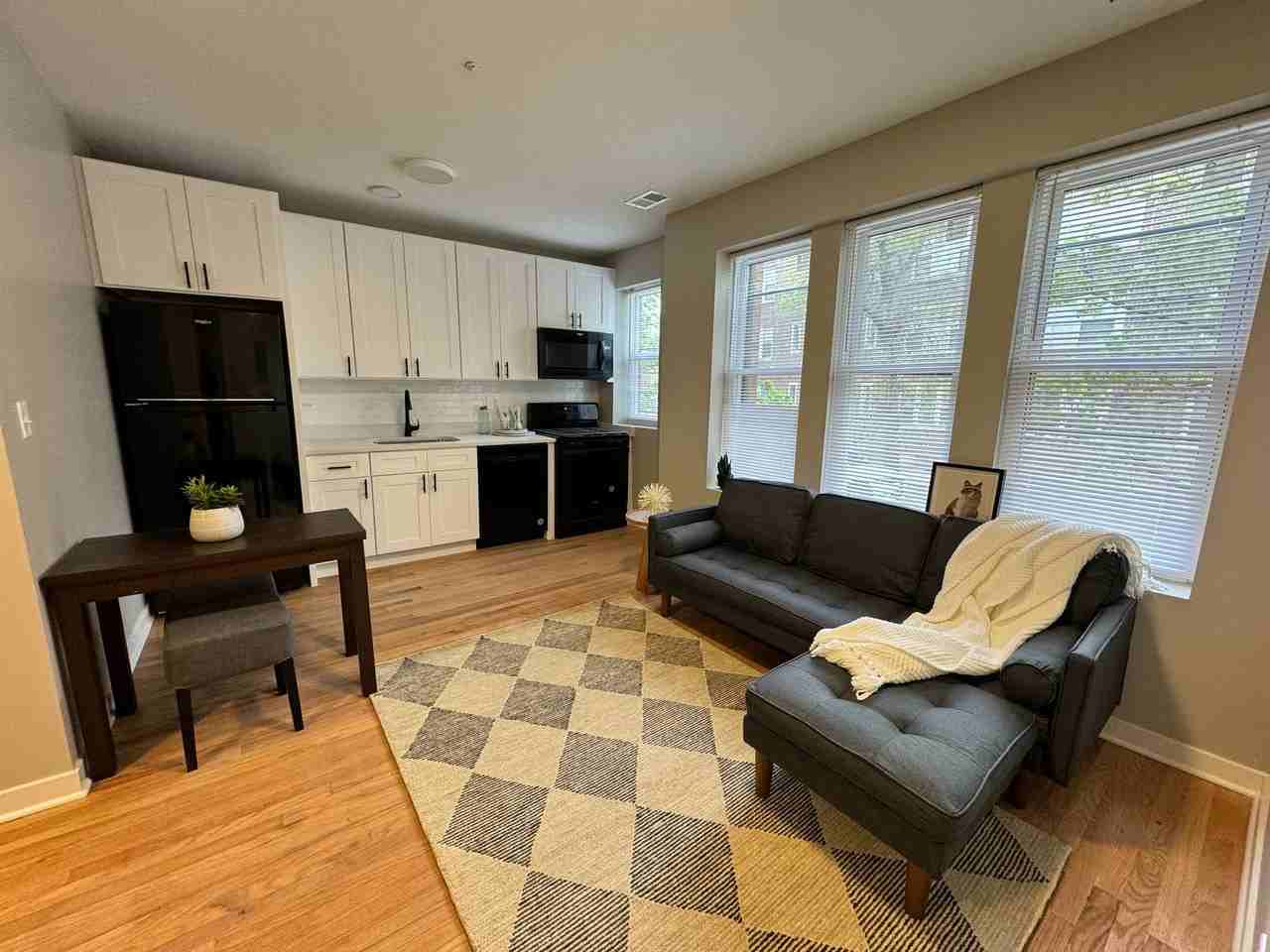 Leland Albany Commons - Photo 4 of 18