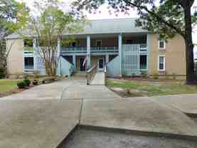 1201 Harbourside Dr - Photo 1 of 1