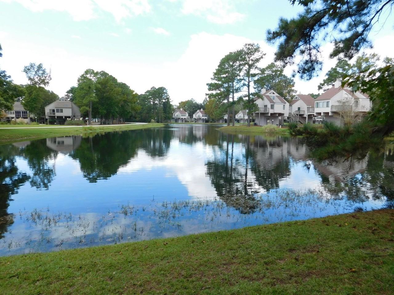 1201 Harbourside Dr - Photo 2 of 33