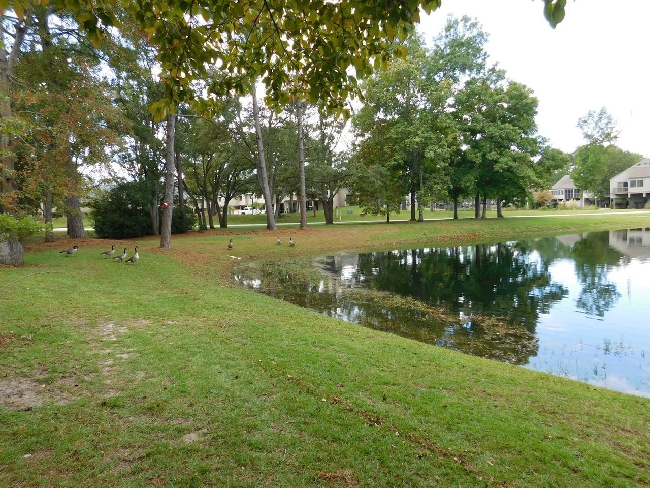 1201 Harbourside Dr - Photo 3 of 33