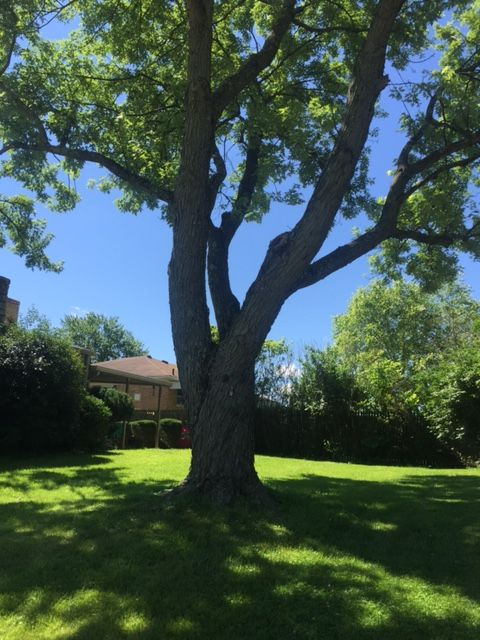 5909 Giffindale Dr - Photo 2 of 4