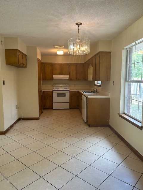 Kim Lane 05 - Photo 3 of 7