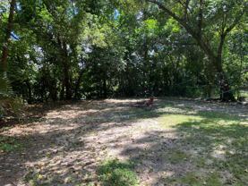 1509 Mayhew St - Photo 1 of 1