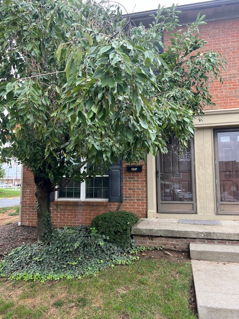 5247 Bracken House Ct - Photo 2 of 12