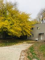 featured image of 643 East 26th Street