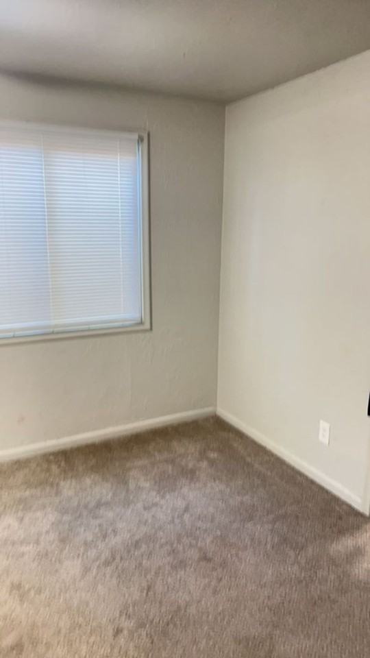 Updated apartment - Photo 5 of 15