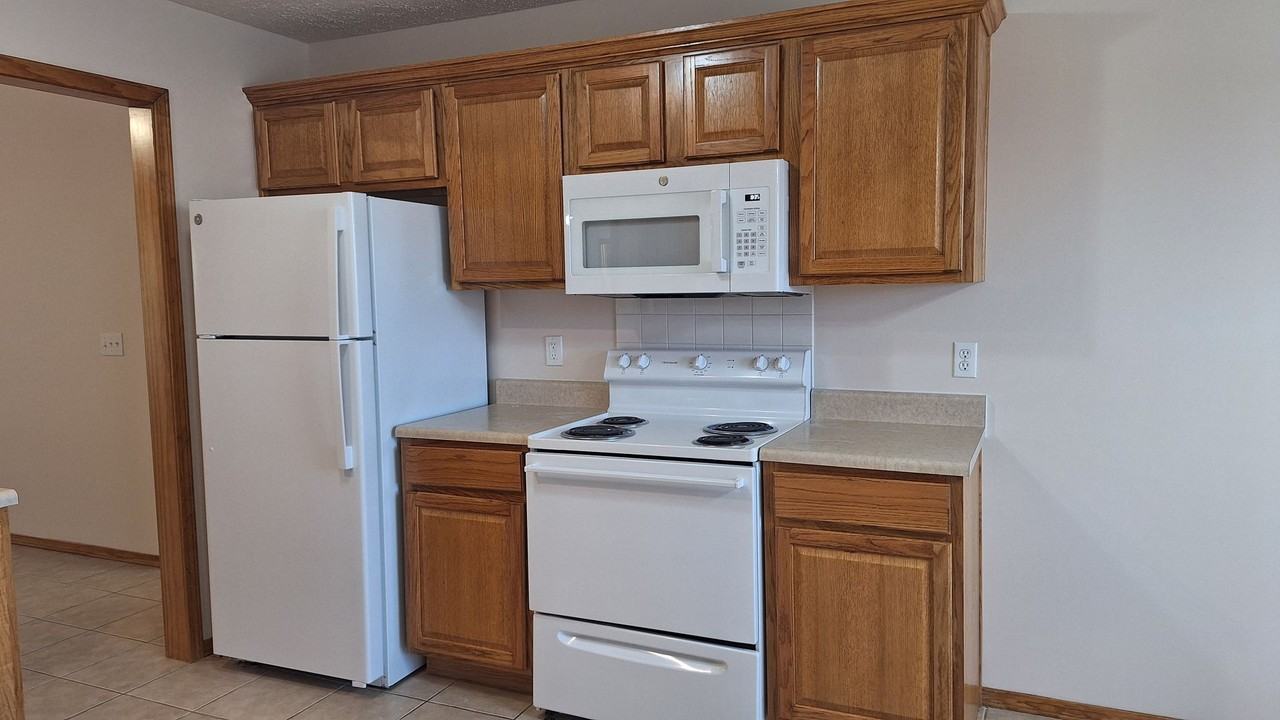 1305 E Hampton Dr - Photo 4 of 12