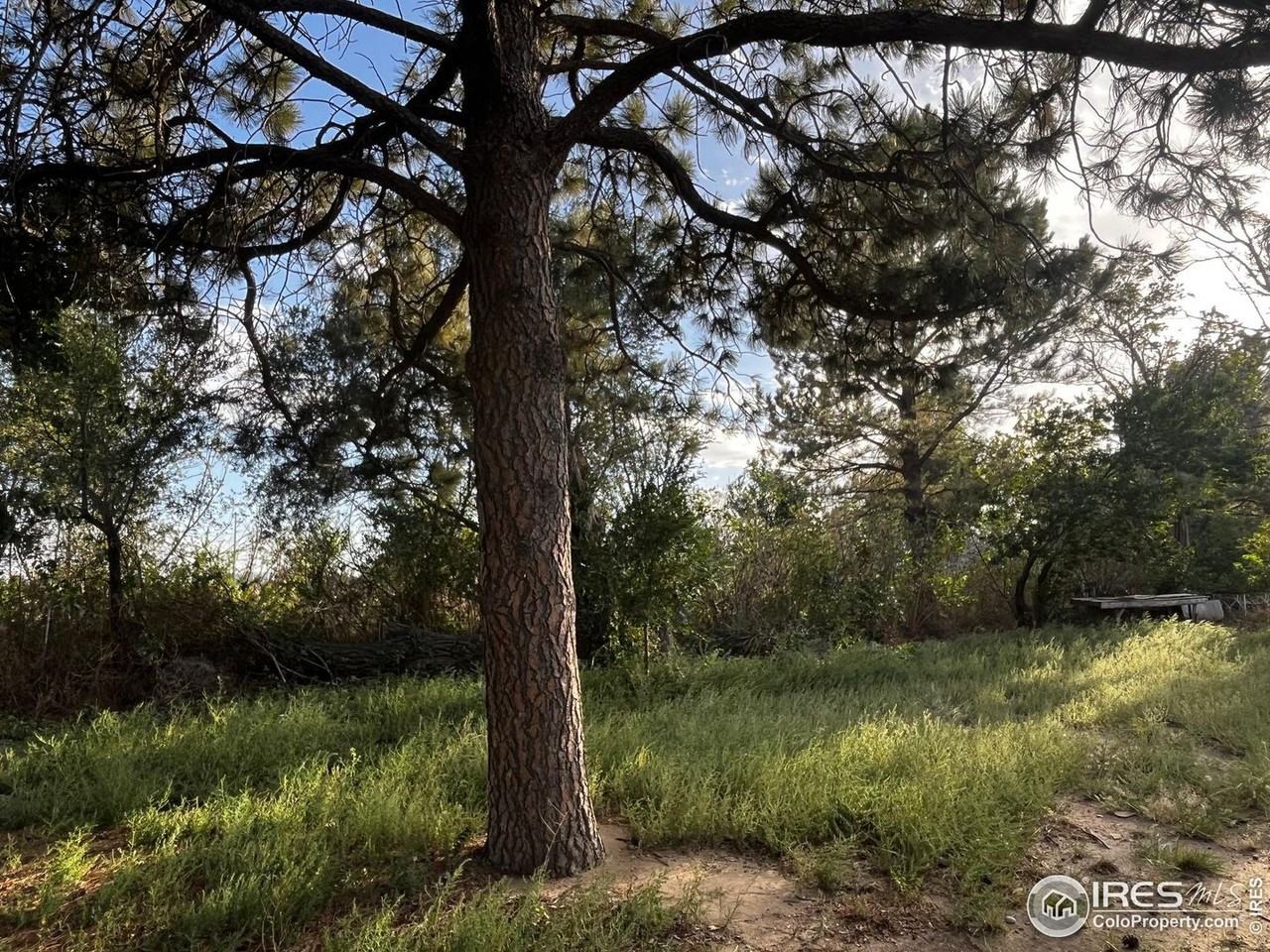 19866 County Road R.7 - Photo 3 of 10