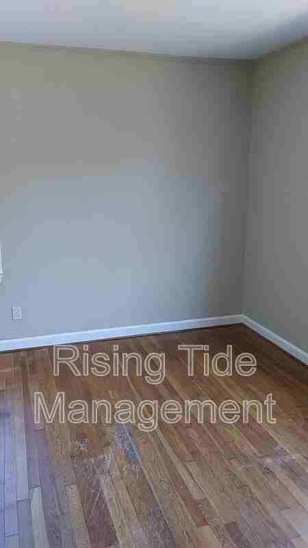 537 Orchid Rd - Photo 4 of 18