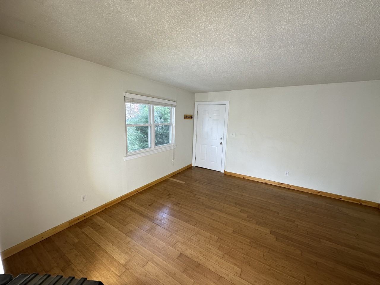 4229 4th Ave S #6 - Photo 2 of 19