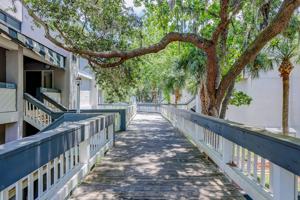 featured image of 137 Cordillo Pkwy #7104