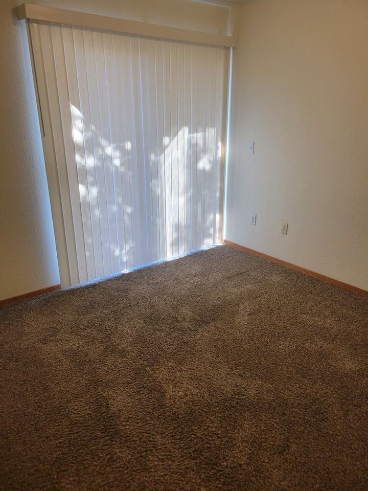 2174 Foxtail Pine Dr - Photo 7 of 17