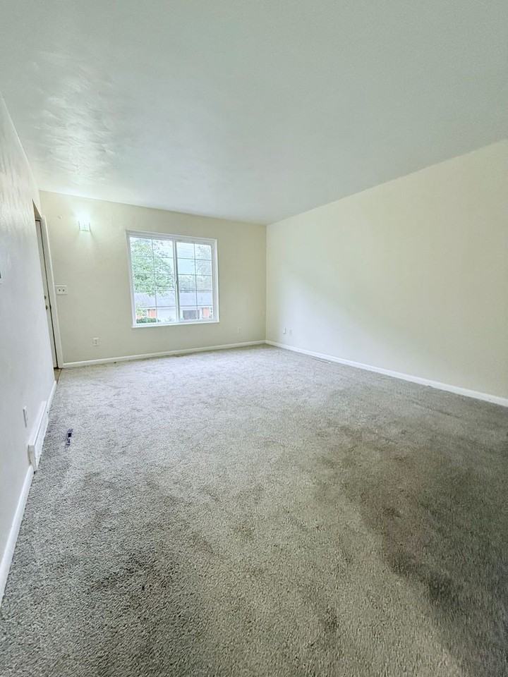 815 Clover St - Photo 3 of 15