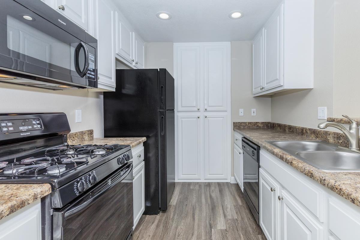 22482 Alma Aldea - Photo 2 of 8