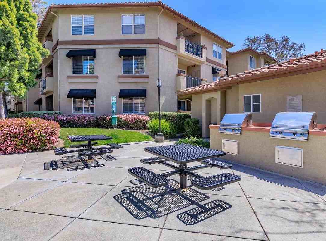 22482 Alma Aldea - Photo 6 of 8