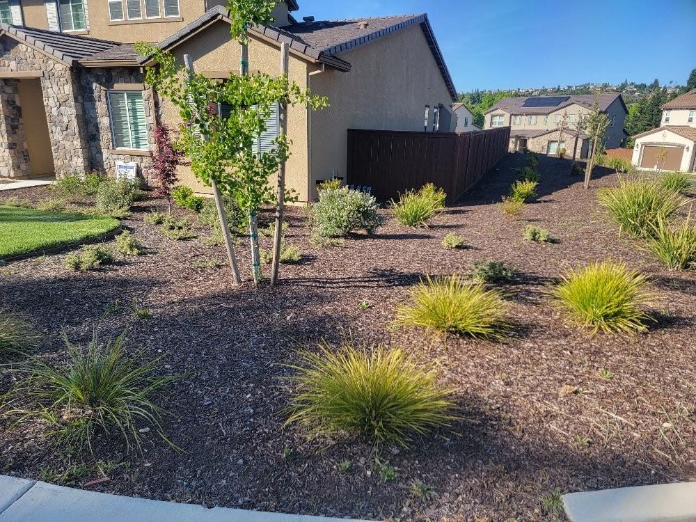 3035 Salt Wash Way - Photo 2 of 50