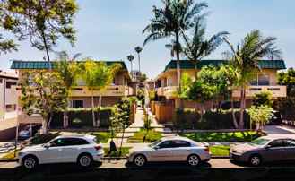 Jasmine 3563 - Photo 1 of 1