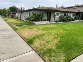 ball2105 - Photo 1 of 1