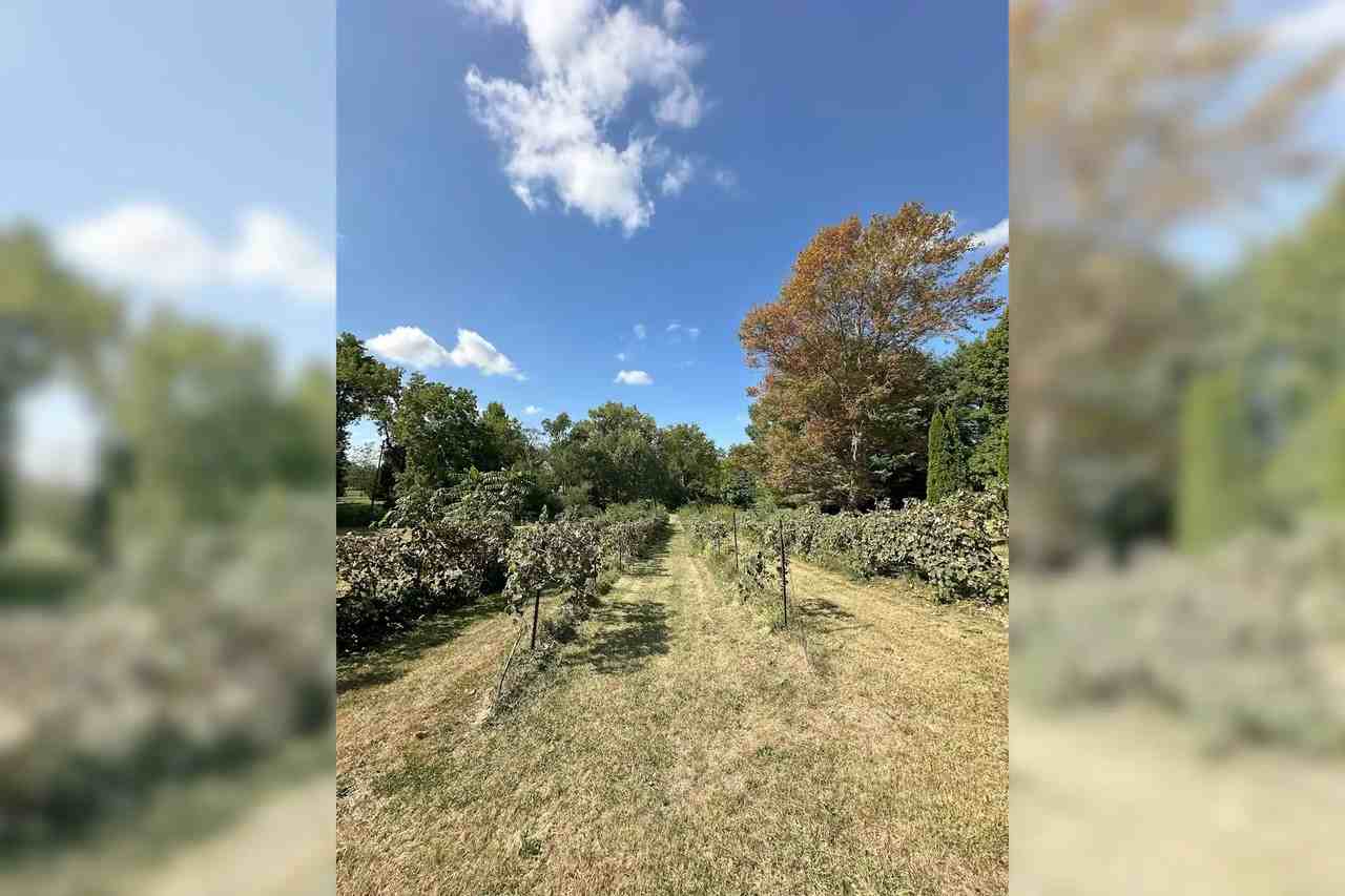 500 Melmore St - Photo 2 of 26