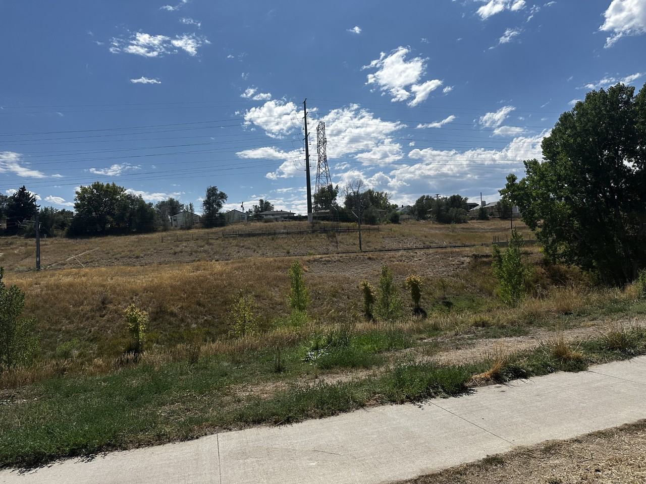 1275 Wolff St - Photo 2 of 17