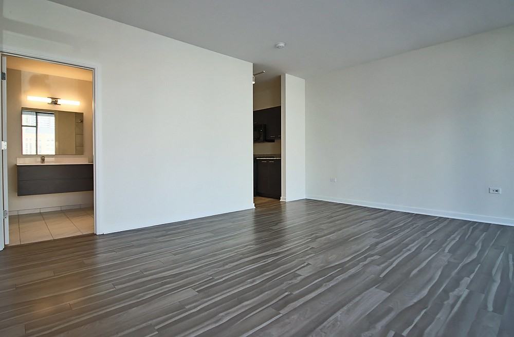 805 N La Salle Dr #PH - Photo 4 of 15