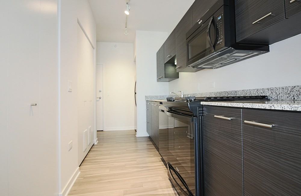 805 N La Salle Dr #PH - Photo 6 of 15