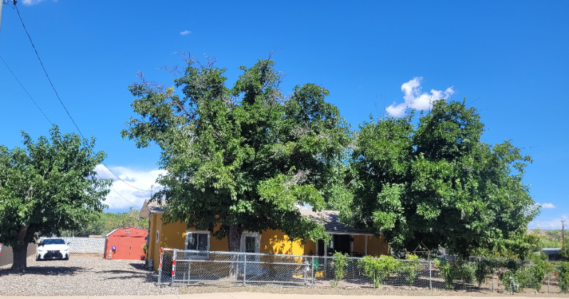 1726 E Mingus Ave - Photo 3 of 19