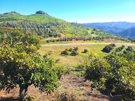 featured image of Los Gatos Rd #0