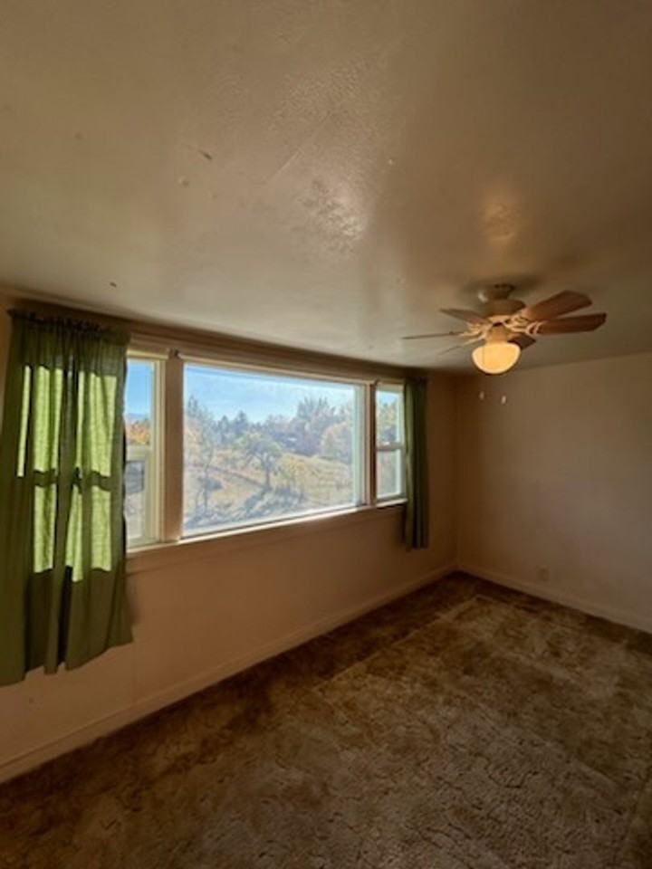 327 Harmony Rd - Photo 3 of 19