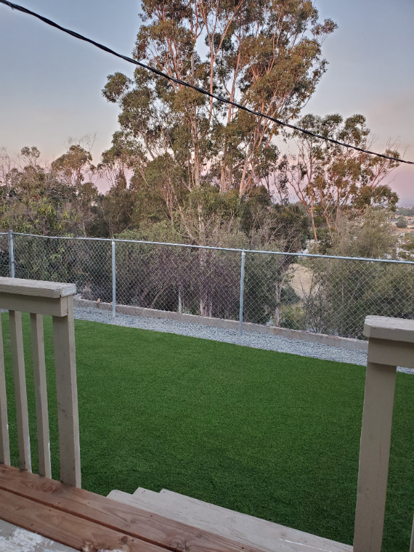 1751 Republic St - Photo 3 of 8