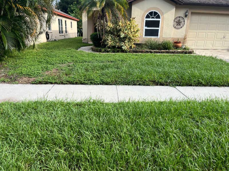 1643 Elk Spring Dr - Photo 3 of 14