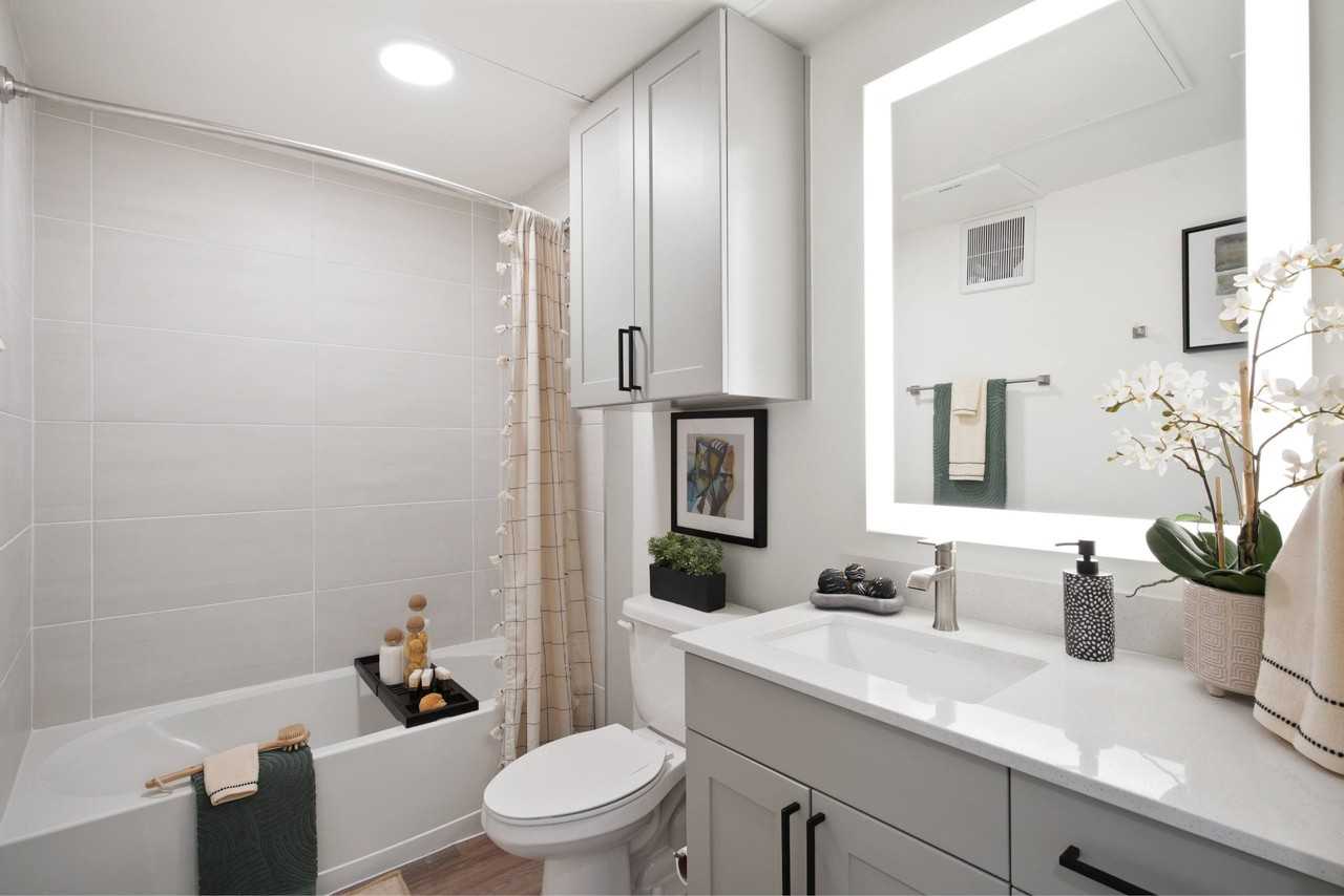 The Shoal - Photo 5 of 36